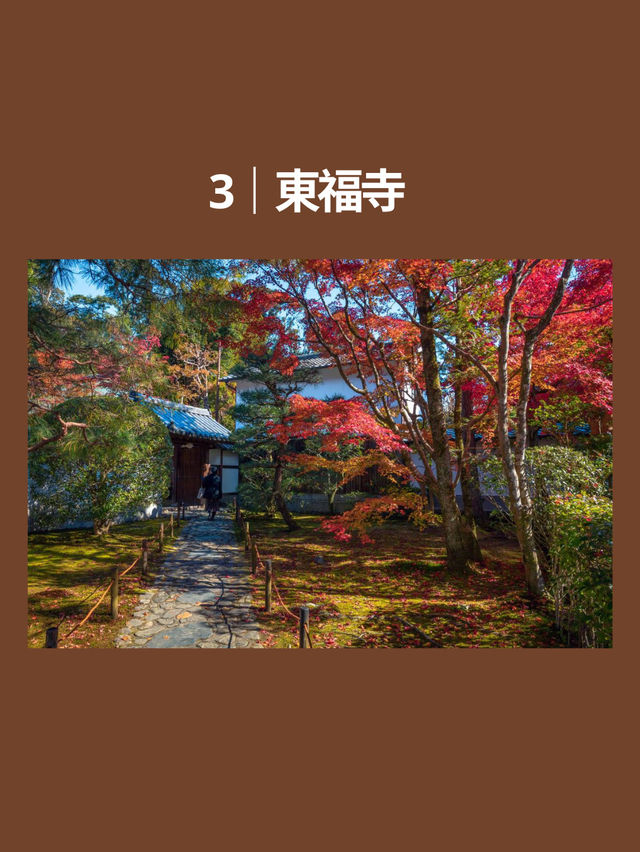 🍂2025-2026 全球賞秋景點 TOP10