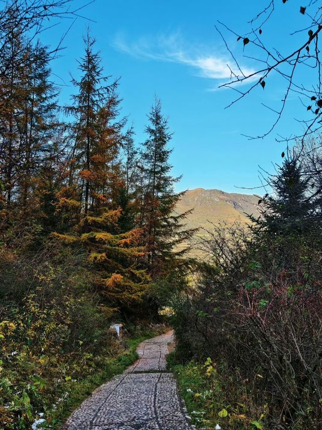 秋色掩映遮陽山