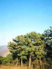 天津周邊秋色封神！魯家峪8km新手徒步路線，風景美到失語