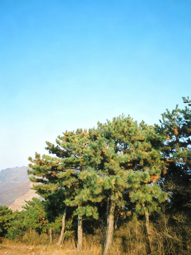 天津周邊秋色封神！魯家峪8km新手徒步路線，風景美到失語