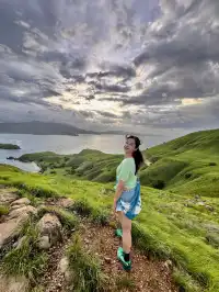 我宣佈科莫多就是人間塞爾達