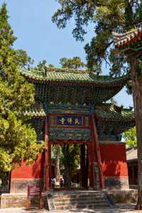 天水絕絕子！穿越千年的浪漫邂逅