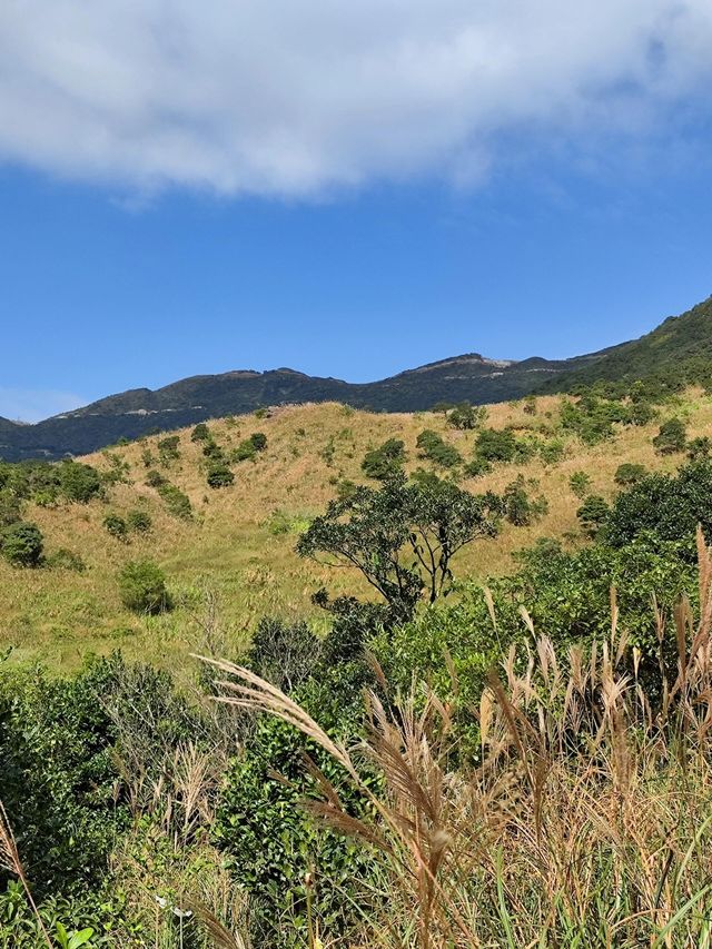 廣東版武功山|惠州大南山徒步攻略