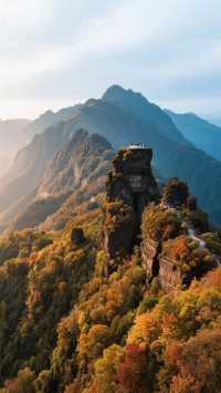 誰說秋天淨係可以睇紅葉?喺