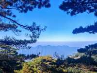 玉山秋日雲海觀景台