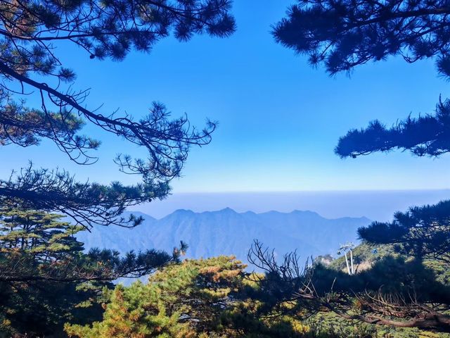 玉山秋日雲海觀景台