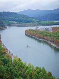 皖南紅杉林 + 竹海挖筍！智能美墅太絕