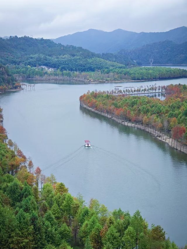 皖南紅杉林 + 竹海挖筍！智能美墅太絕