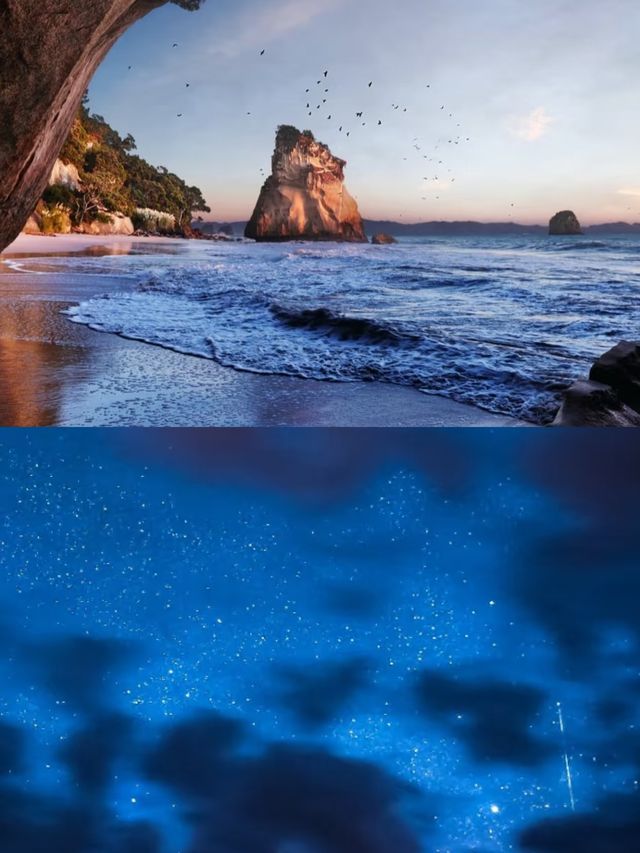 純淨星球終極體驗