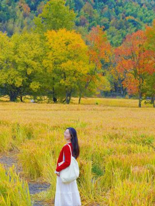 A must-see for autumn in Southern Anhui! Free photo spots guide for autumn colors at Lucun, Tachuan!