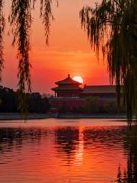 燕雀湖：南京秋日水上仙境