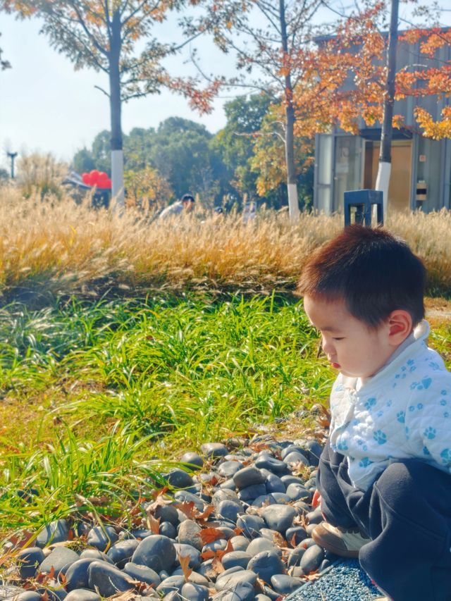 解鎖金陵秋日限定浪漫