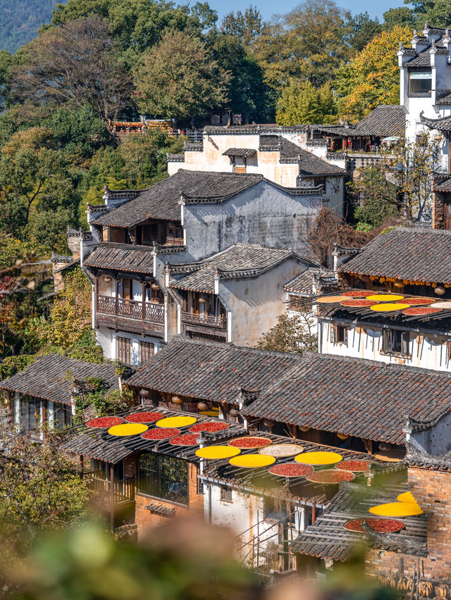 以為皖南的秋天夠美了，直到我去了趟婺源！