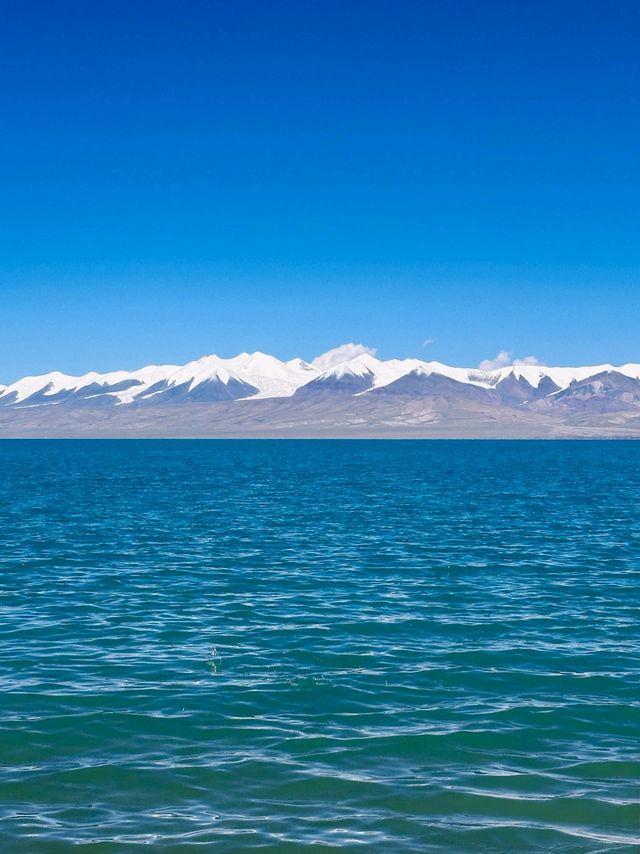 青藏終極盲盒!哈拉湖黑海秘境轎車直達,錯過再等十年! 青藏終極盲盒!哈拉湖黑海秘境轎車直達,錯過再等十年!