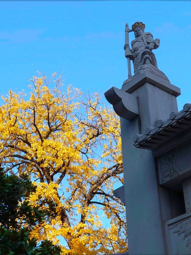 “禪境秋色” — 毗盧寺一步一景