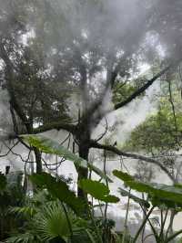 福建必玩！一日玩轉岱仙瀑布，拍出震撼人心的瀑布美照！