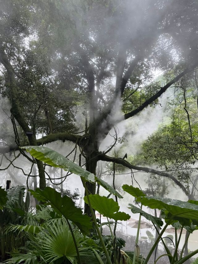 福建必玩！一日玩轉岱仙瀑布，拍出震撼人心的瀑布美照！