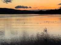 絕美日落觀鳥地