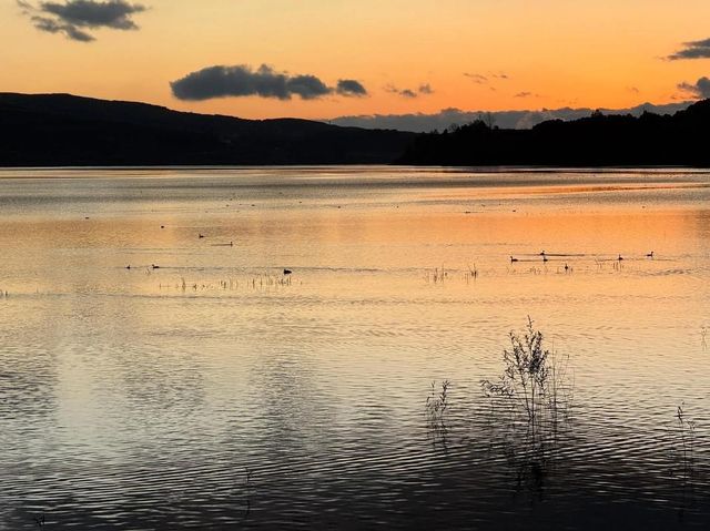 絕美日落觀鳥地