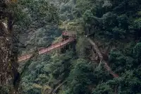 旗山森林公園徒步偶遇猴哥!20km古道+網紅