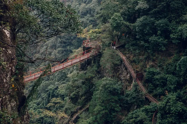 旗山森林公園徒步偶遇猴哥!20km古道+網紅 旗山森林公園徒步偶遇猴哥!20km古道+網紅