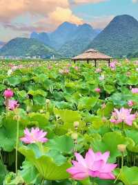 《國家地理》沒騙我12月的元陽梯田