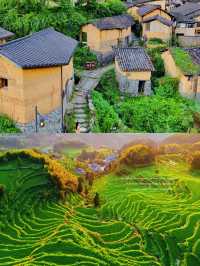 被麗水美哭！生態小城的慢生活太治癒了