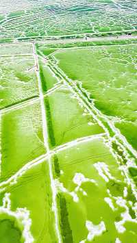 青海藏着片「天空之鏡」!察爾汗鹽湖美到讓人失語