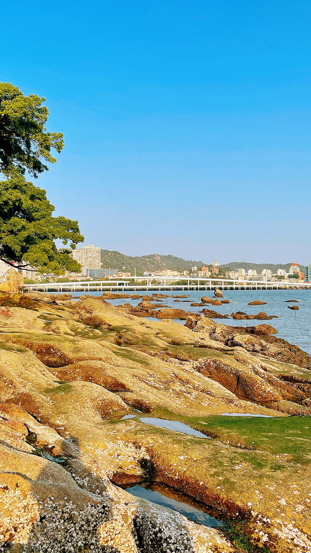 鼓浪嶼上,與百年時光對望 鼓浪嶼上,與百年時光對望