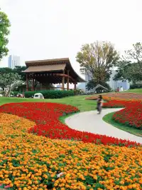 深圳地鐵直達的彩虹花海!這個公園太寶藏