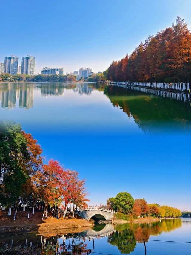 長沙迎來封神的秋天，這些地方真的超美！