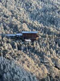 冬日昆明必打卡