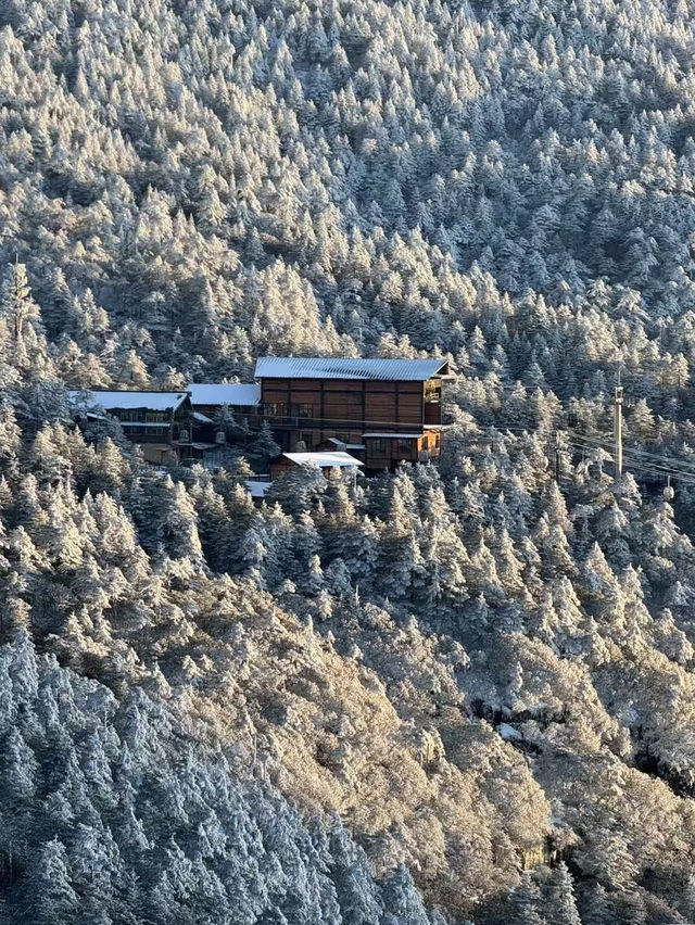 冬日昆明必打卡 冬日昆明必打卡