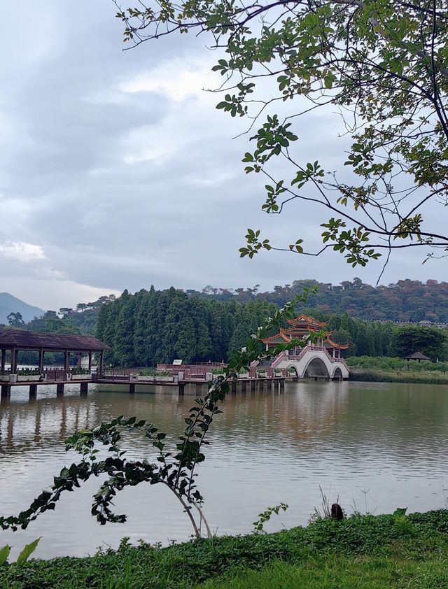 肇慶七星岩|嶺南第一奇觀 肇慶七星岩|嶺南第一奇觀