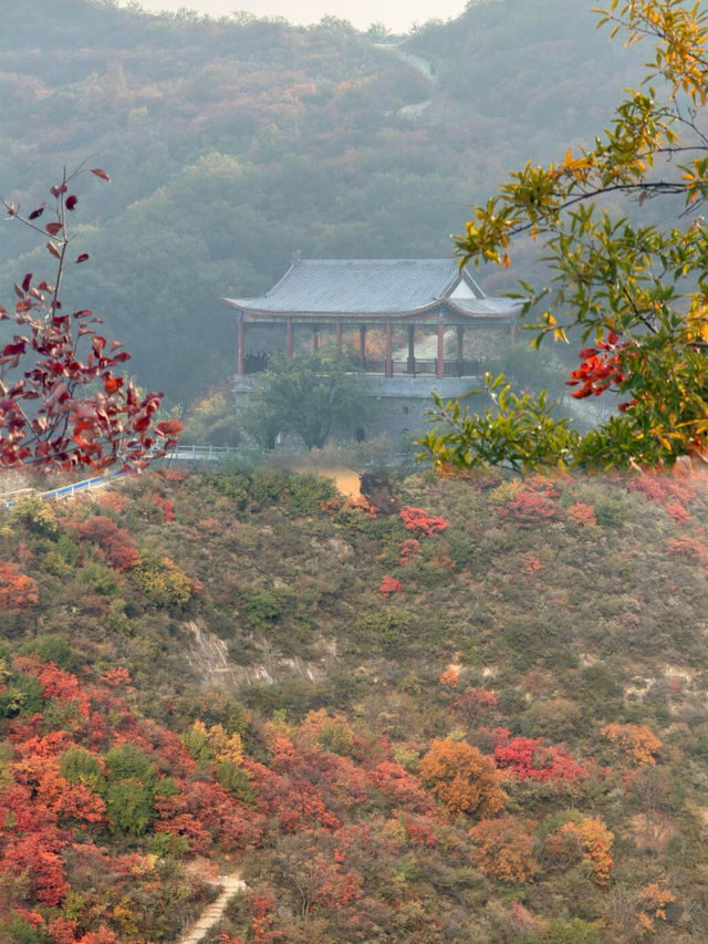 鄭州1h直達！0元賞紅葉的“小長城”美哭了