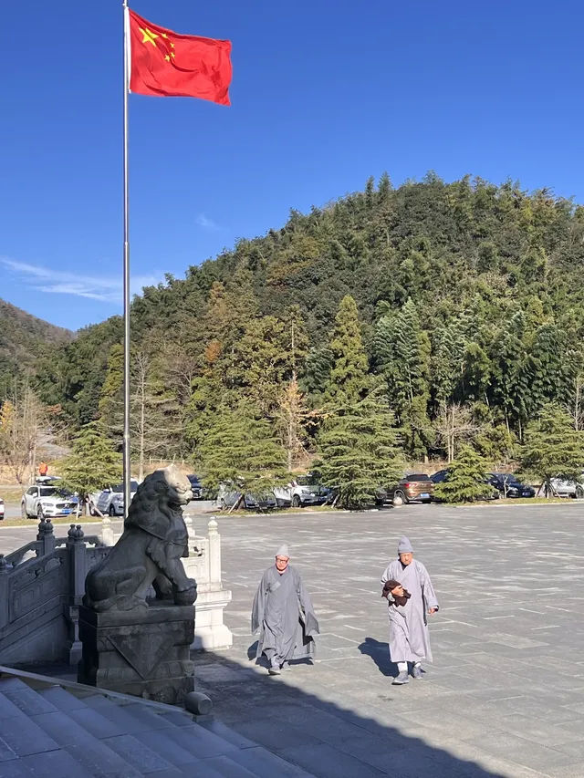 南昌周邊|九江雲居山的千年銀杏 滿樹金黃 南昌周邊|九江雲居山的千年銀杏 滿樹金黃