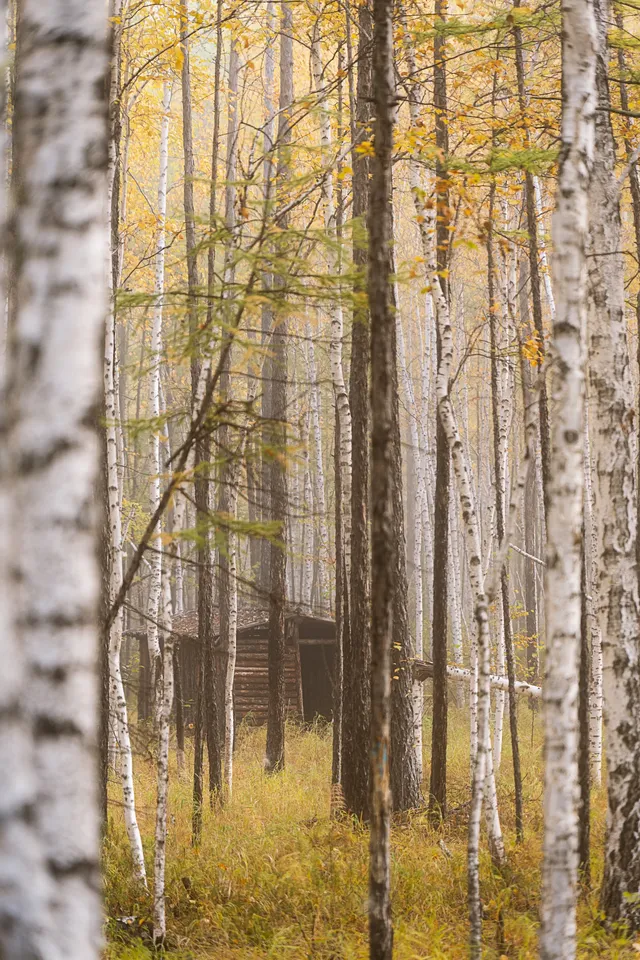站在中國最北的江灣，擁抱一整片北國的浪漫
