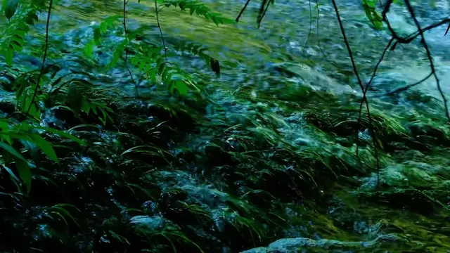 🫧荔波·小七孔地球上的綠寶石🟢