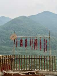 上海周邊賞秋天花板覆卮山徒步攻略｜石浪梯田美到窒息！