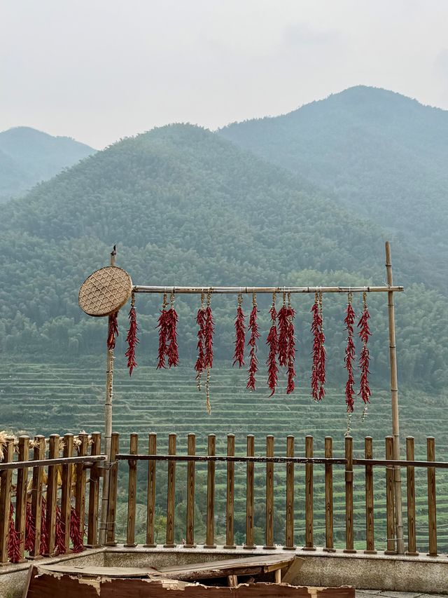 上海周邊賞秋天花板覆卮山徒步攻略｜石浪梯田美到窒息！