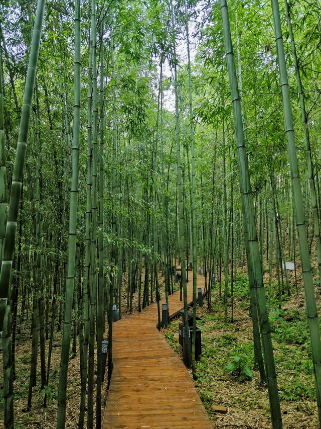 藏在城市裡的煙火秘境