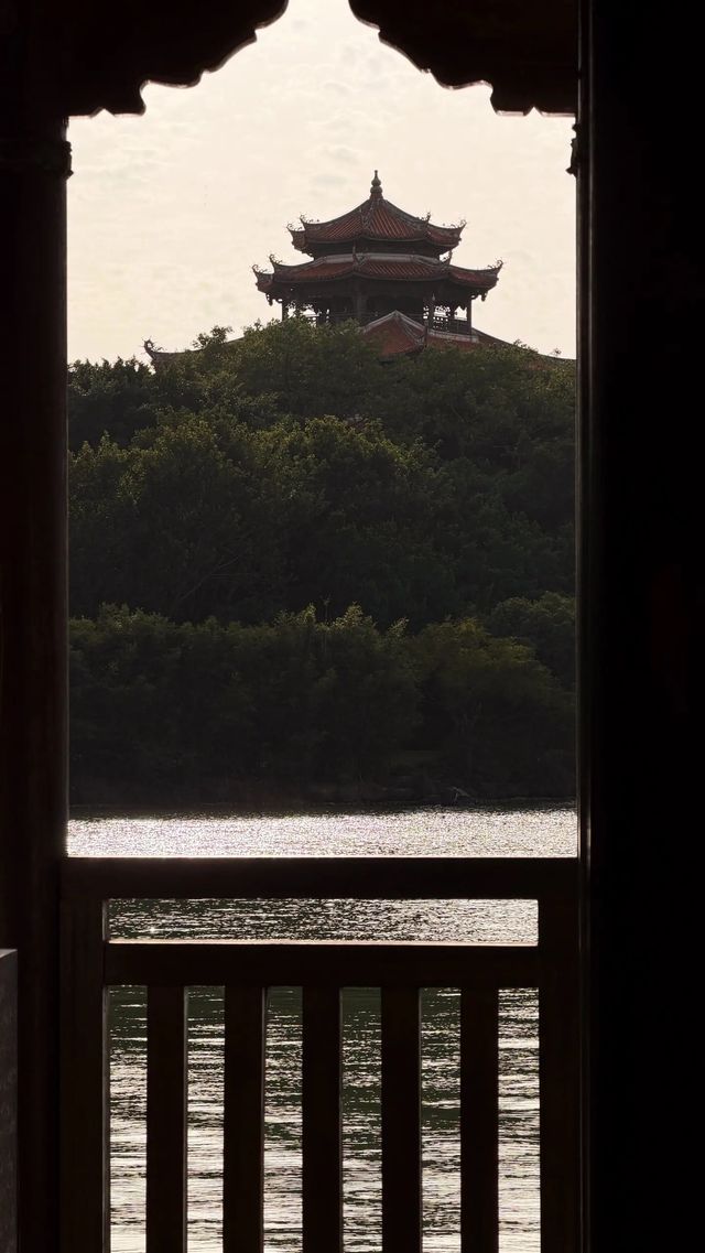 西湖邊隱秘觀景台，一些西湖的其他角度