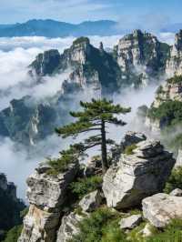 白石山夏季和冬季不同季節的不同風光