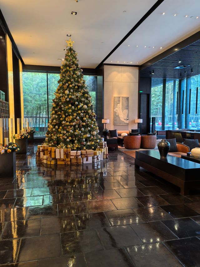 告別前,再去吃一塊璞麗的蛋糕 告別前,再去吃一塊璞麗的蛋糕