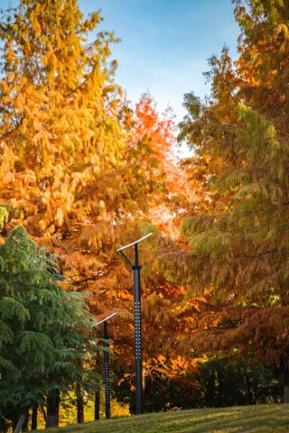 すごいですね、半分まで届いています