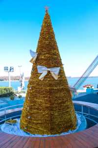 不出青島也能在 雪凇下和小鹿貼貼