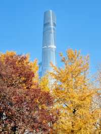 上海外灘賞銀杏不繞路個機位路線攻略