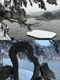 抓緊碼住這份廬山賞雪攻略看霧淞雲海的絕佳時機來了