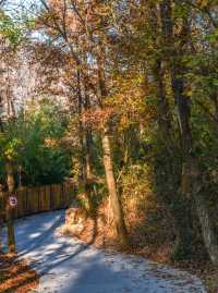 南京這個低調的度假天堂週末避開人潮就衝這