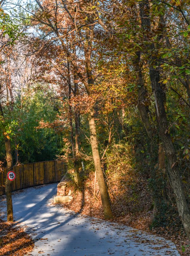 南京這個低調的度假天堂週末避開人潮就衝這 南京這個低調的度假天堂週末避開人潮就衝這